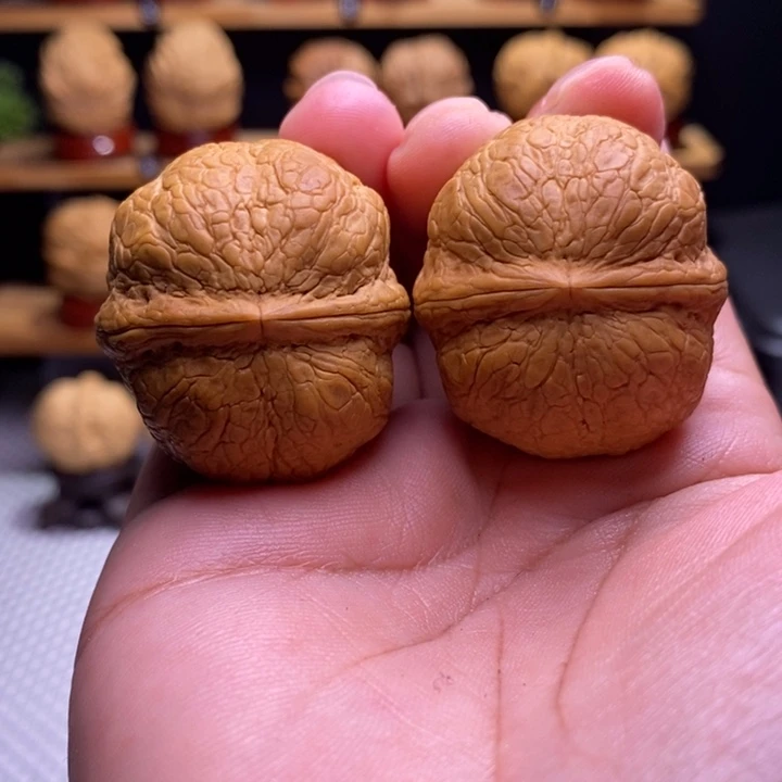 木质类云铁金蟒萌萌包23号