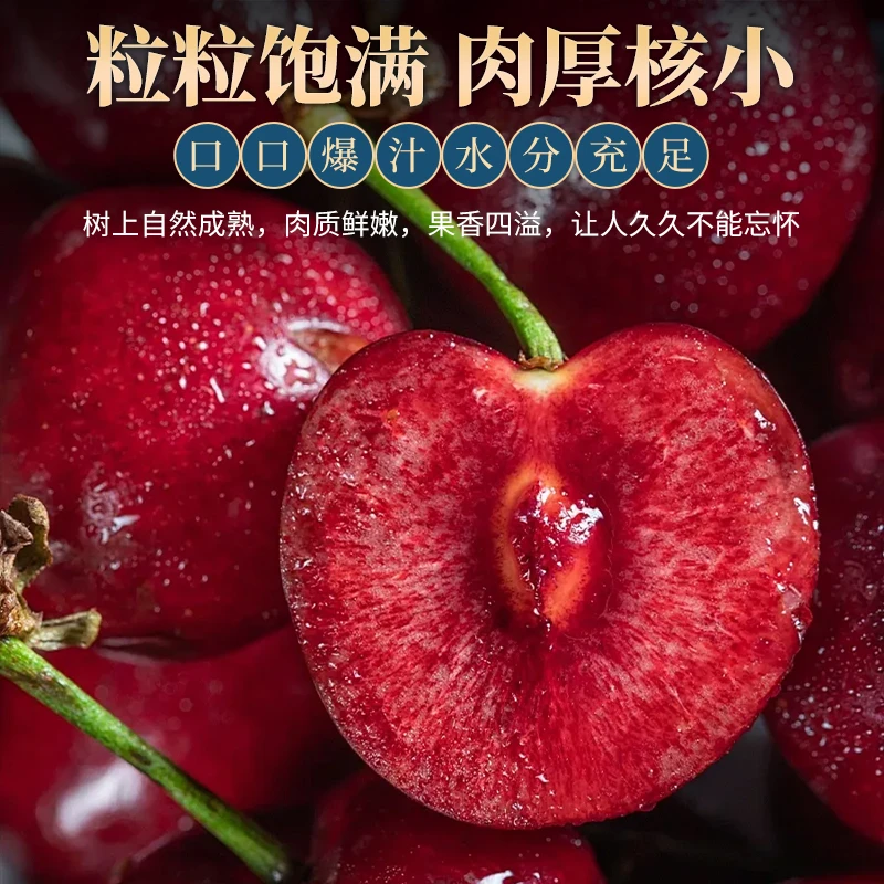 现摘樱桃大连美早新鲜产地直发空运2J-5J净重2/3/5斤 内附果径卡