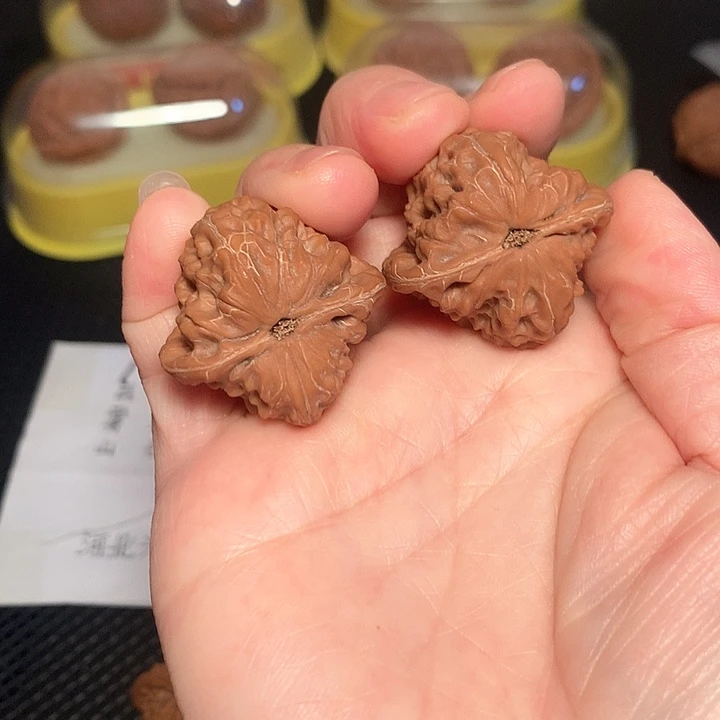 文玩核桃吊坠3.26尺白蛇骨