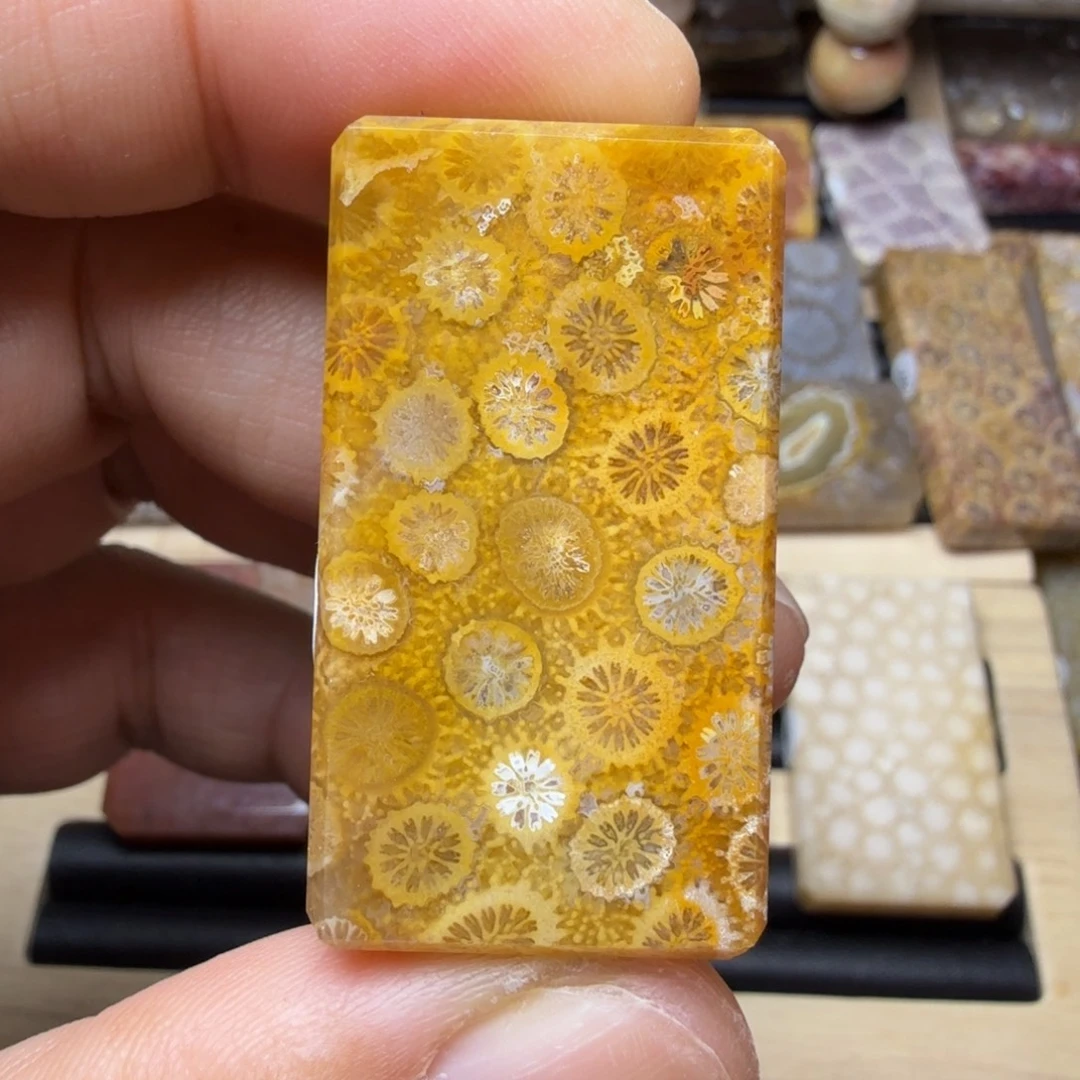 硅化玉未镶嵌纯天然色有你玉石保真色