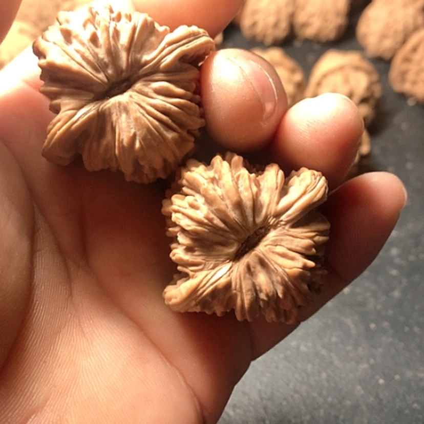 【闪购商品】轻*楼
