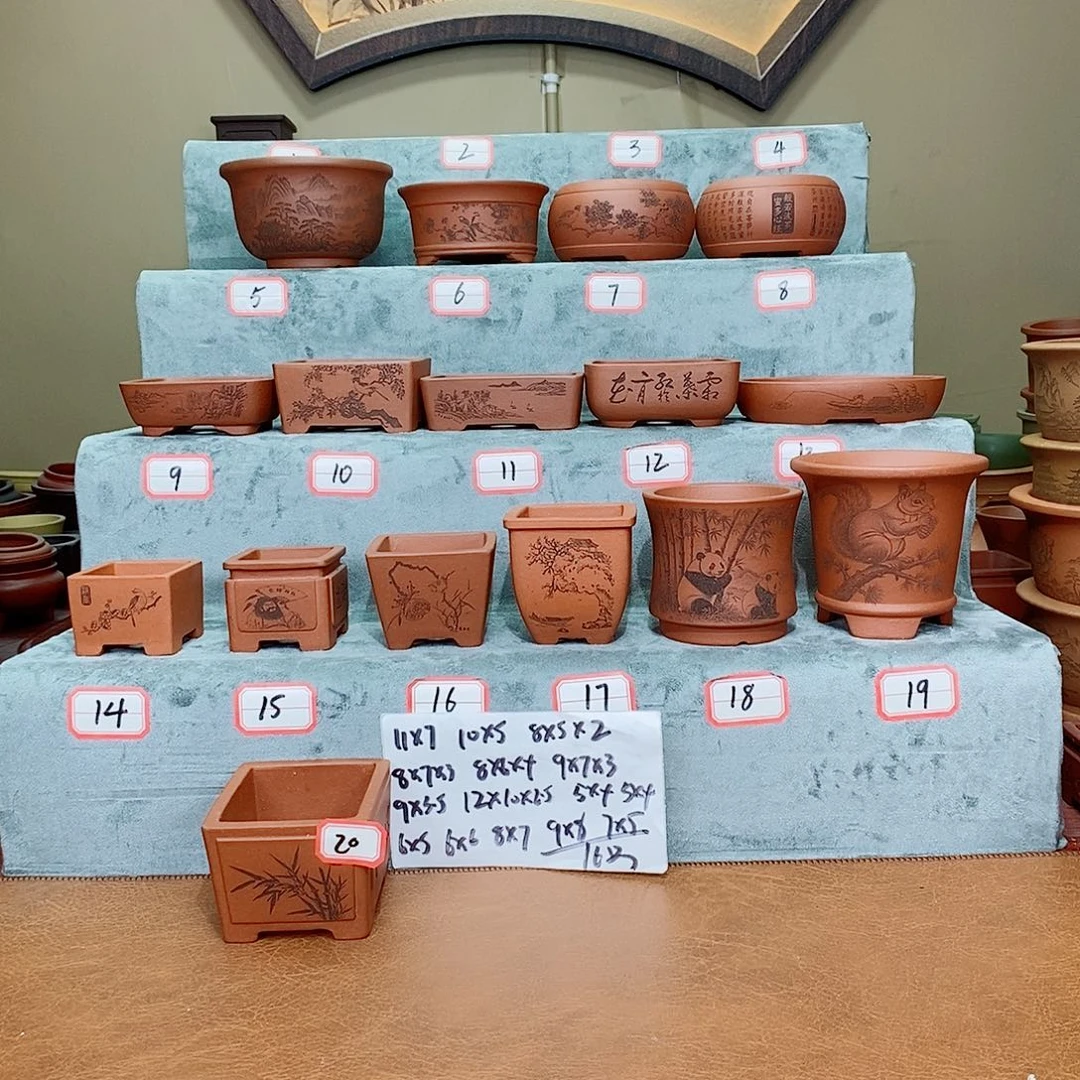 紫砂花盆我在看书