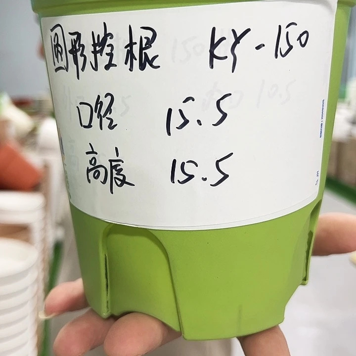 正品圆控口15高15混色10个无托