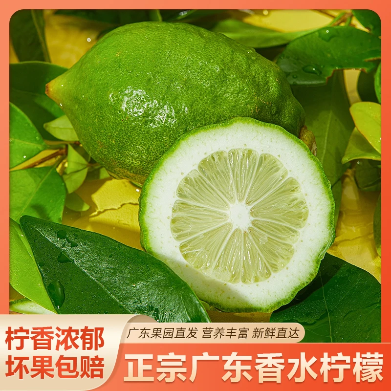 【网红热销】现摘爆香香水柠檬广东香水柠檬一级果爆香型无籽柠檬