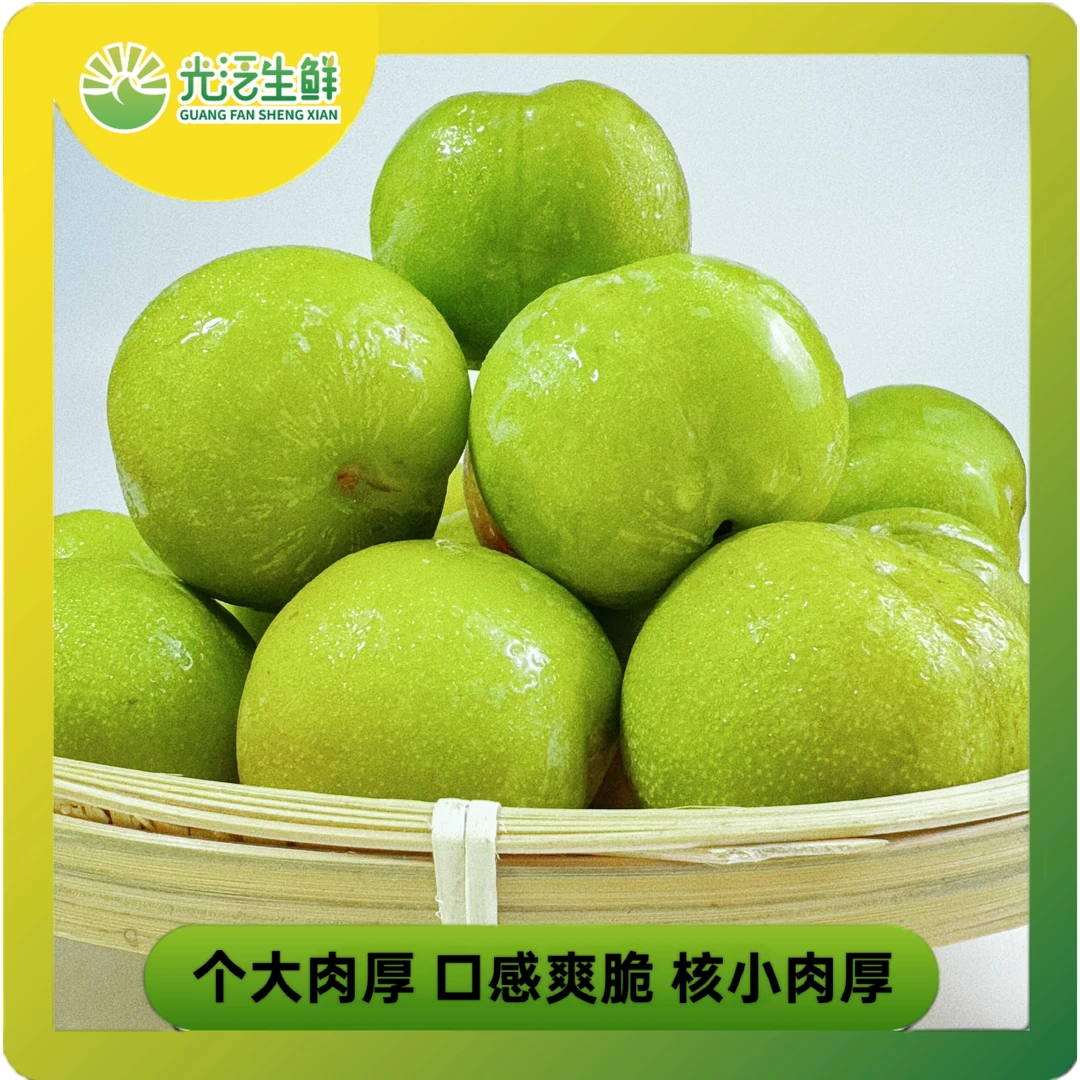 四川脱骨李青脆李新鲜水果青李子包邮当季水果青脆李