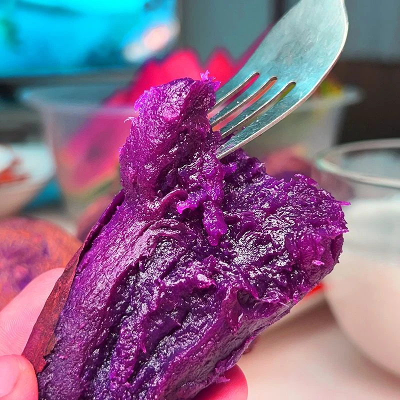 沙地溏心紫薯新鲜紫薯蜜薯糖心番薯紫红薯地瓜