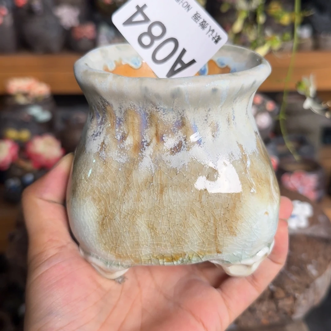 重庆小燕子欢迎大家084