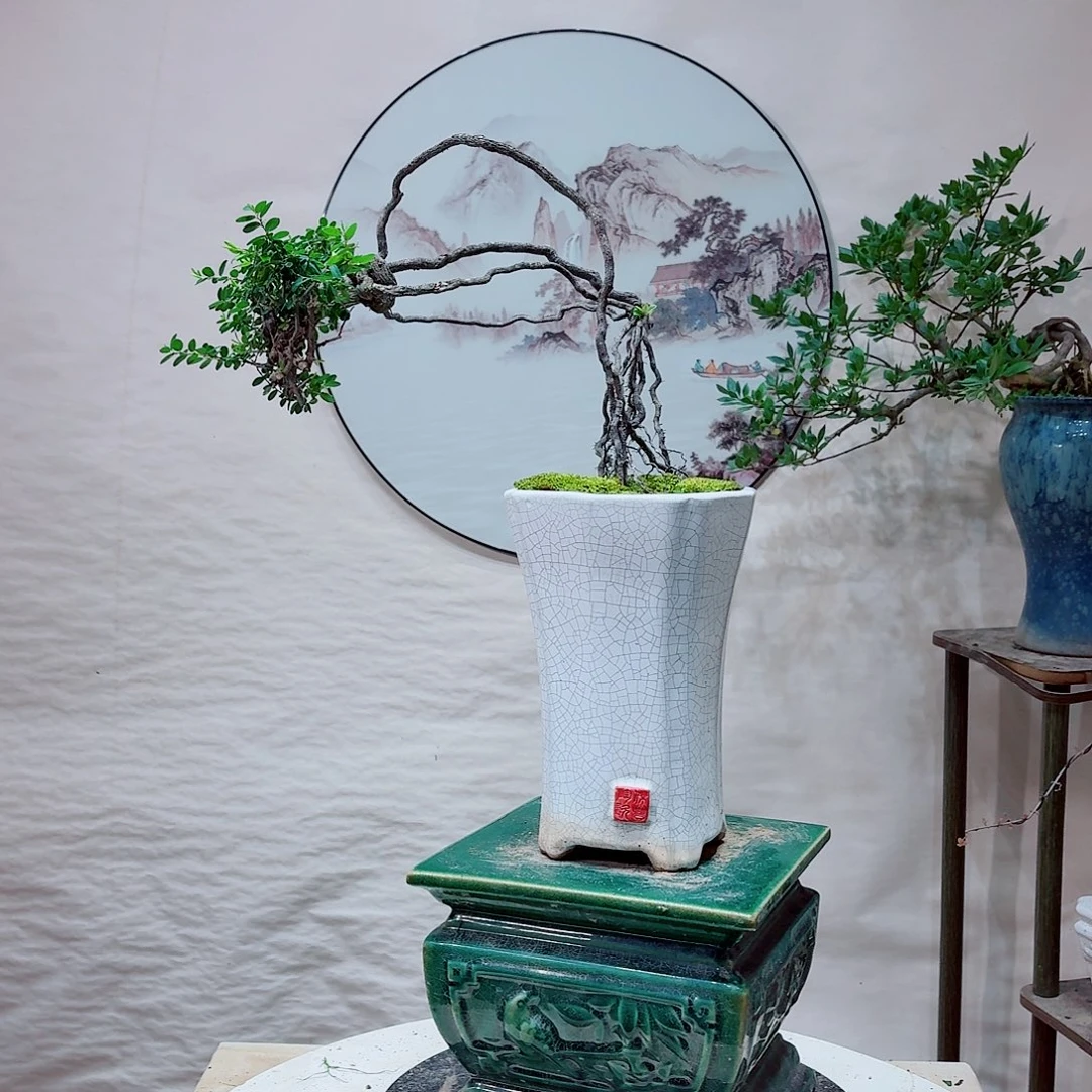 完全开放aaaaaaaaaaaaa