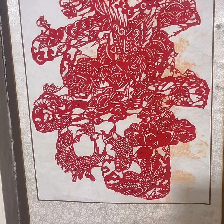 杂色豆（科檀/科特迪瓦檀木）接*人