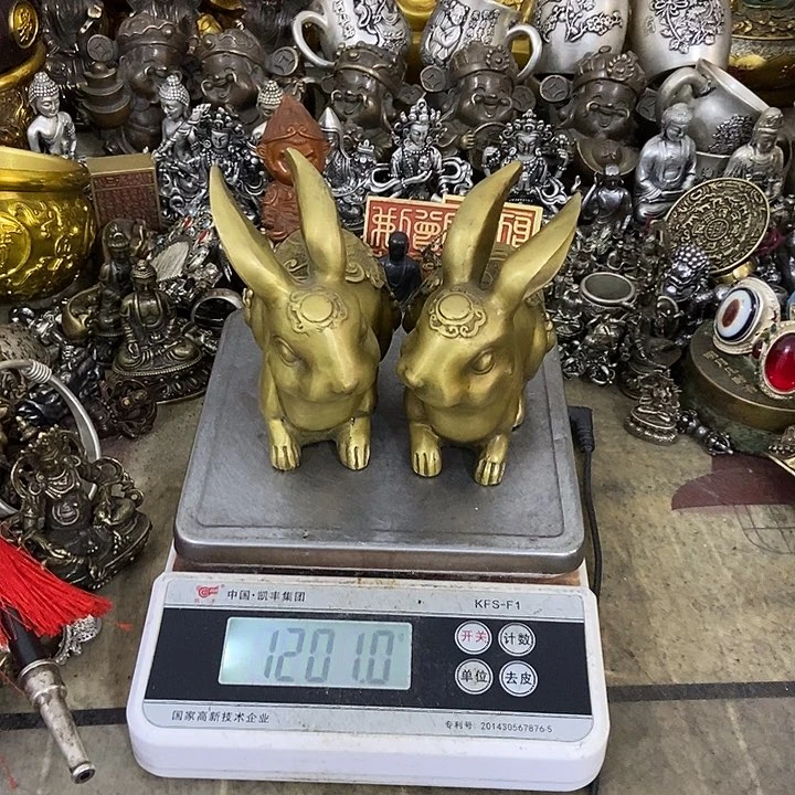 夏**天白天白天，白天，白天白天