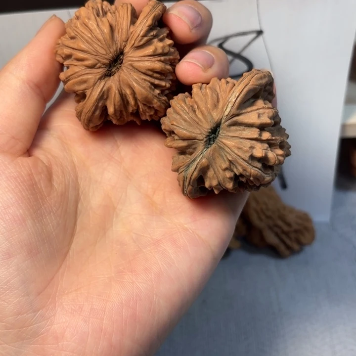 北***线核桃哈哈哈哈哈哈