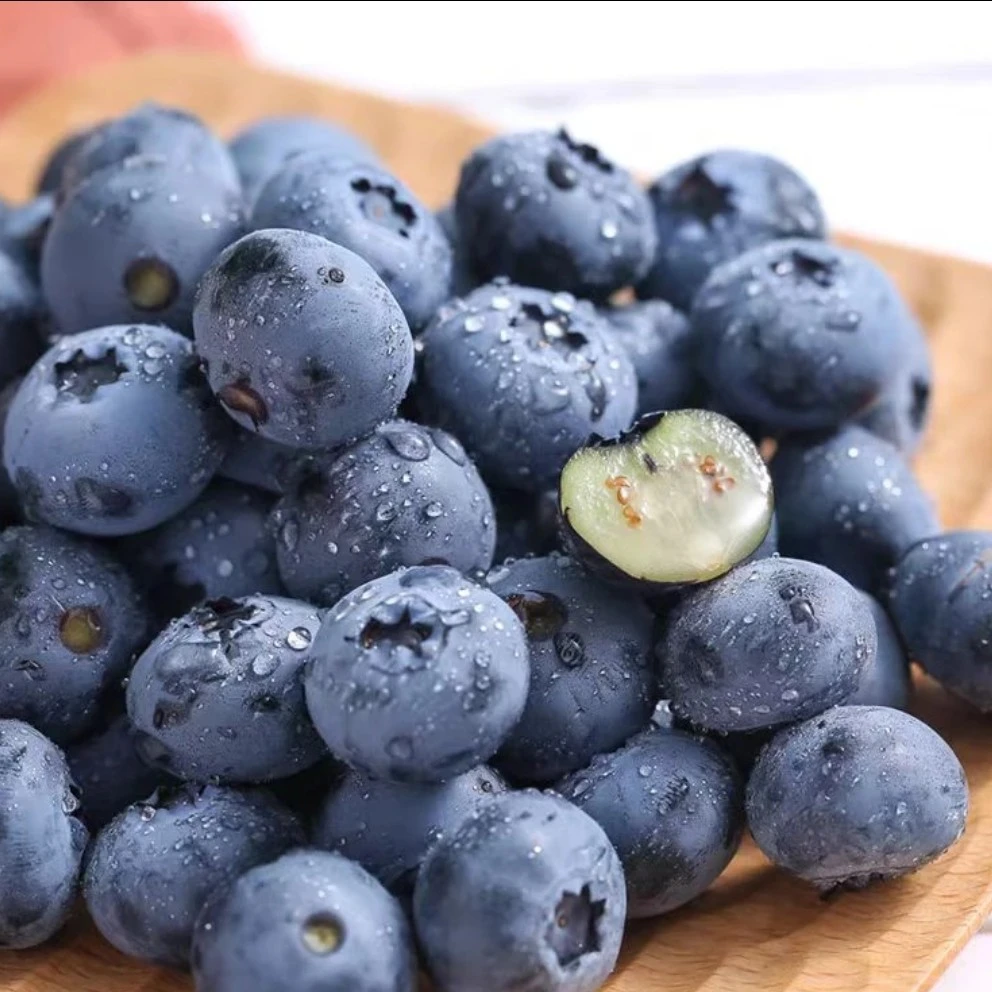 云南L25花香蓝莓 125g （15mm～18mm）云南蓝莓玉溪云南省云南