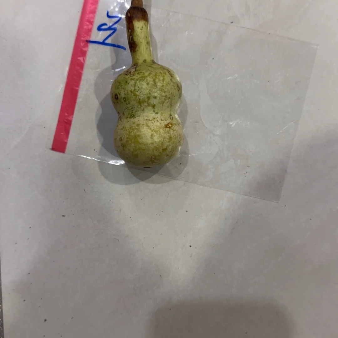 东***龙葫芦卡饿了乐乐乐乐路途太乐乐了
