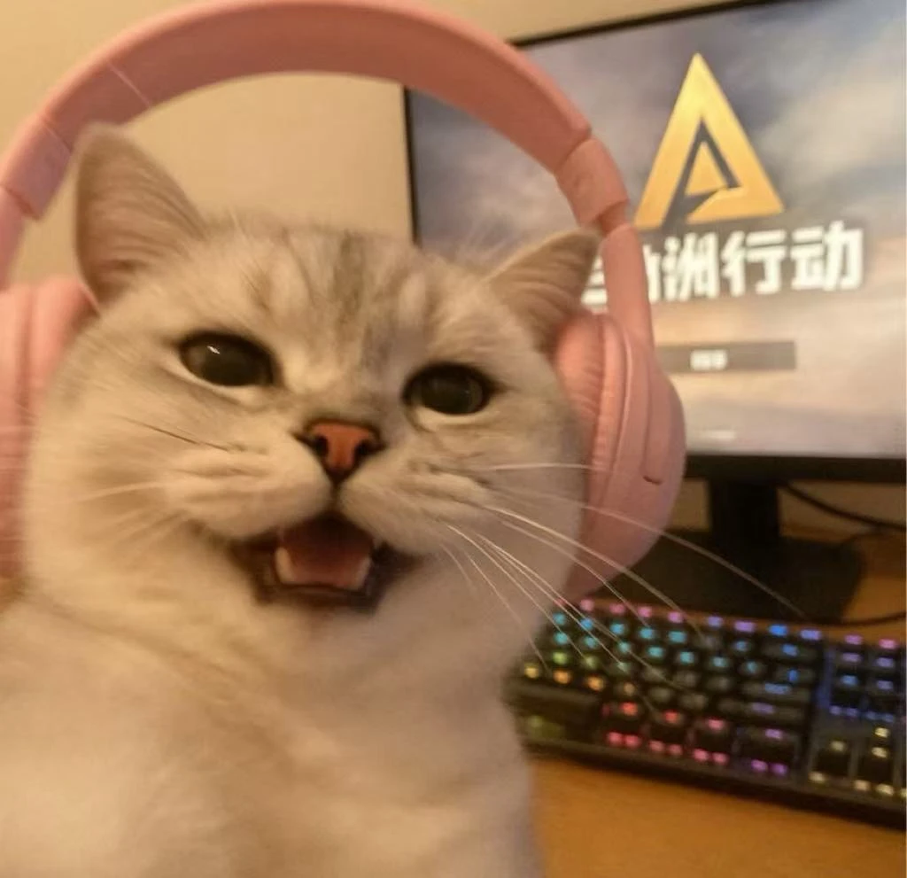 三角洲行动    陪玩 专拍链接！！