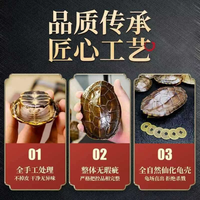 精品龟甲手把件摆台直播间一物一拍