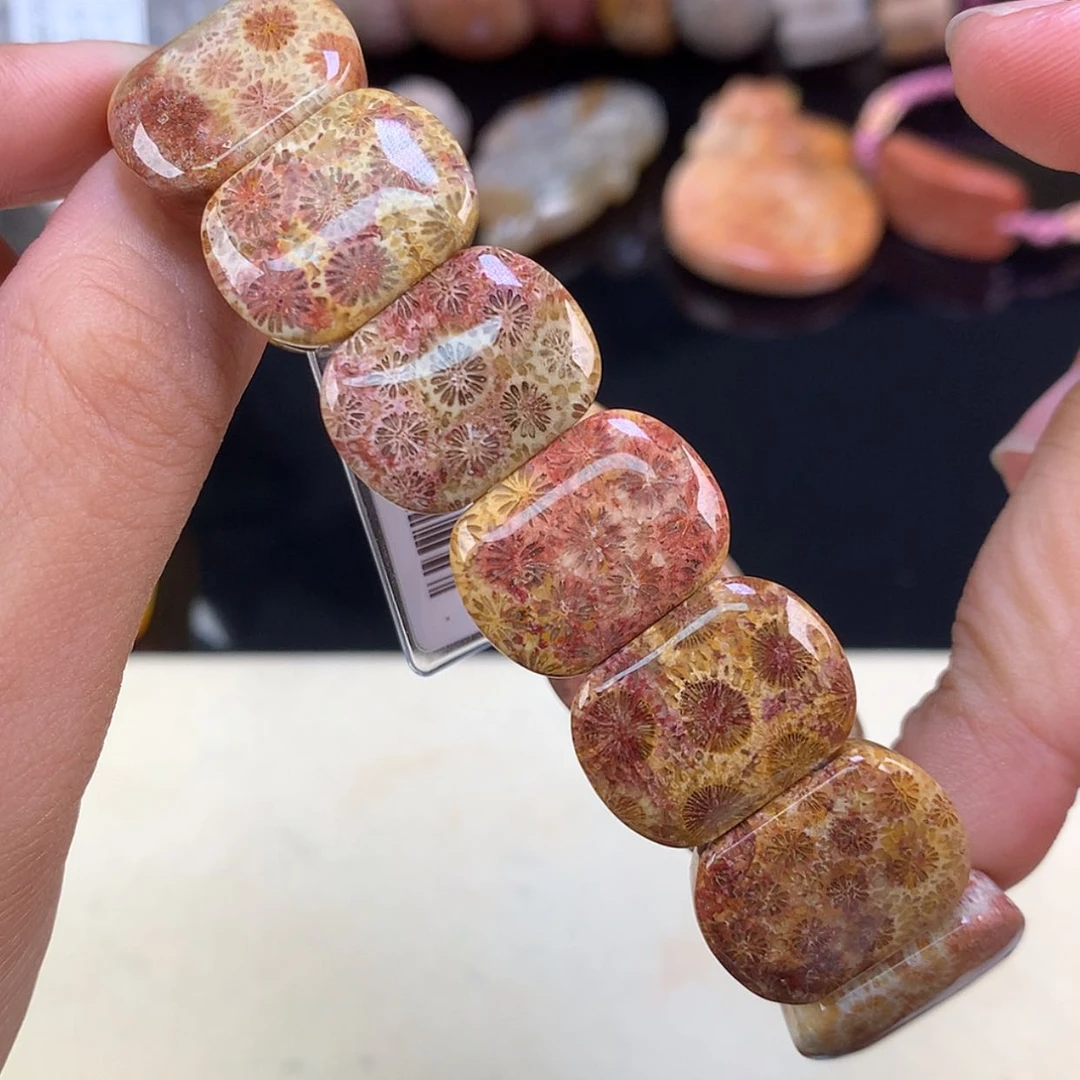 【闪购商品】颈饰未镶嵌硅化珊瑚（珊瑚玉）51号油画