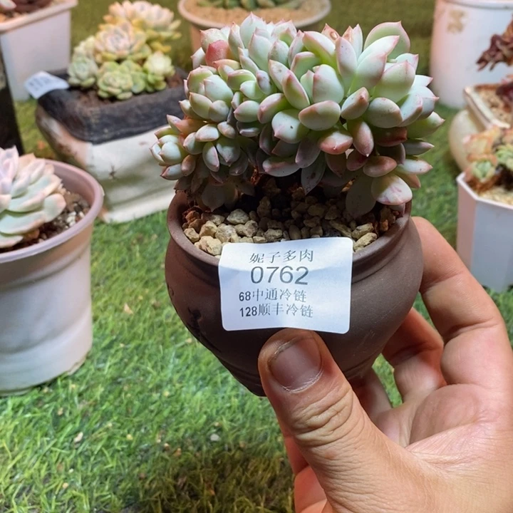 0762啊啊啊啊啊啊啊啊啊啊
