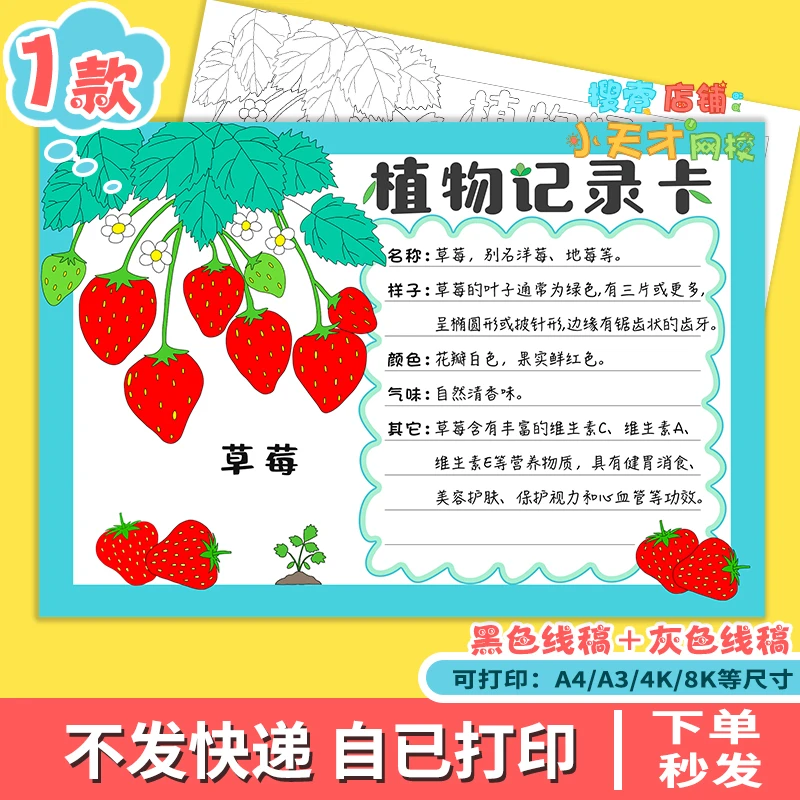 植物记录卡手抄报草莓观察记录卡我的植物朋友名片电子模板e297