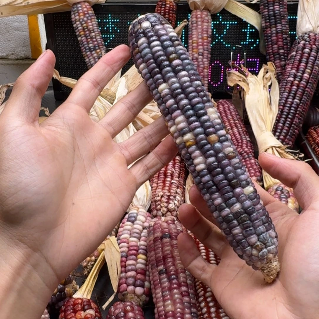 纪****柏香籽/百香籽吊坠