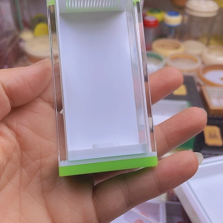 罗***侠竹蛉金钟鸣虫盒子