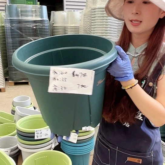 青山盆7#墨绿色5个无托