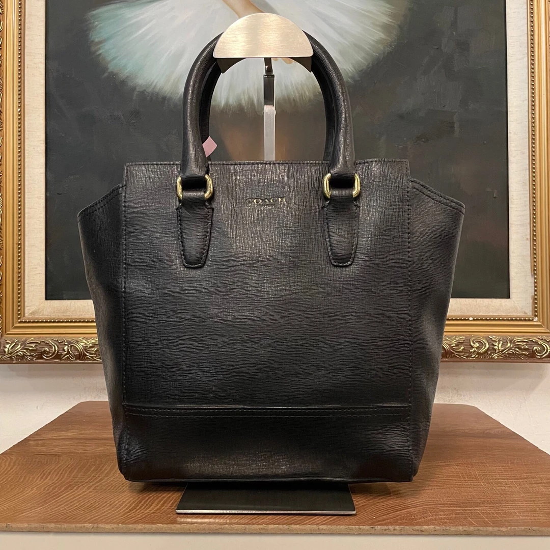 95新 COACH/蔻驰 coach蔻驰单肩包/98523/尺寸19*18