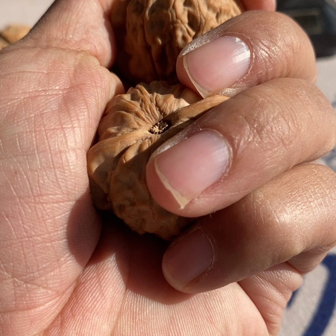 ひ***し吊坠文玩核桃文玩核桃石门元宝