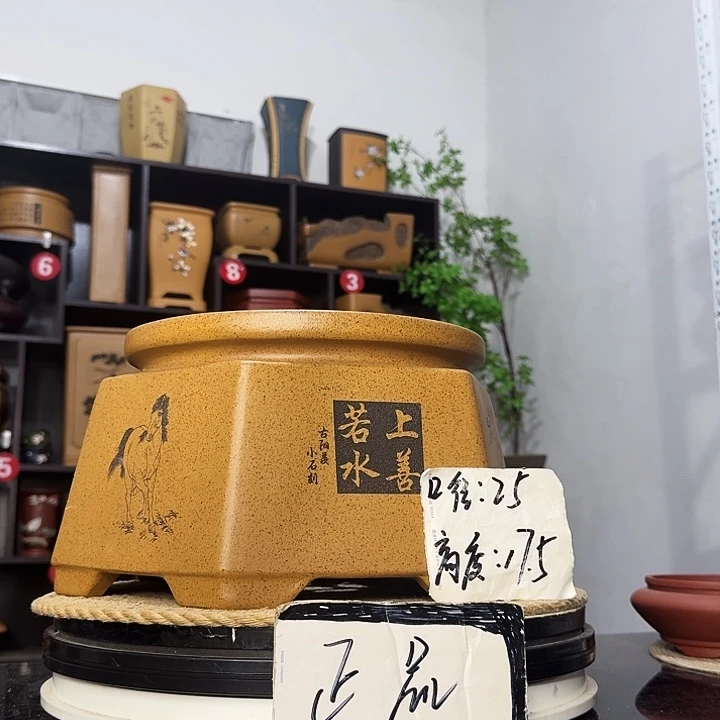 紫砂花盆盆友记紫砂