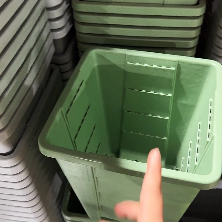 编号403果绿无托5个