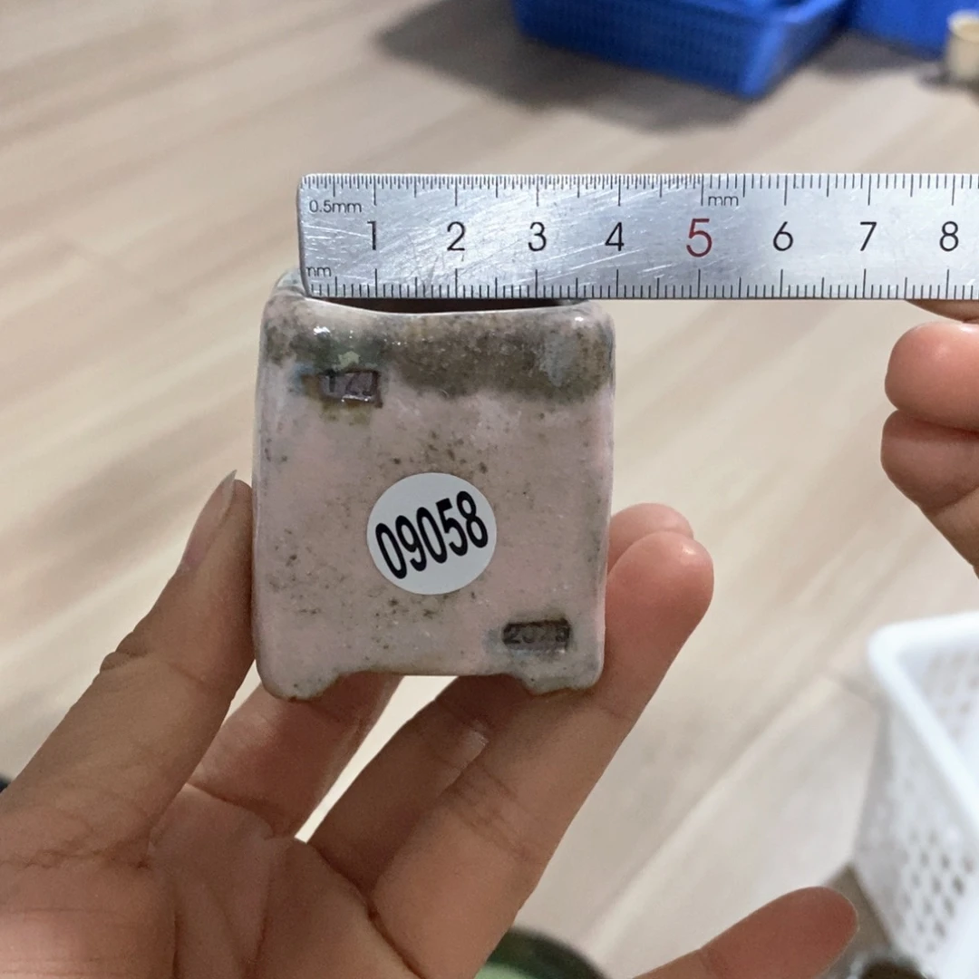 拍3送一个小礼物