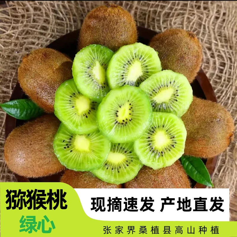正宗张家界高山绿心猕猴桃现摘速发坏果包赔
