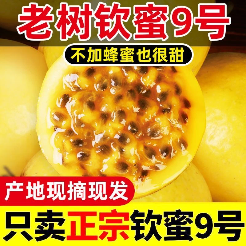 广西桂林钦蜜9号百香果新鲜当季水果无酸饱满多汁{9斤特果}