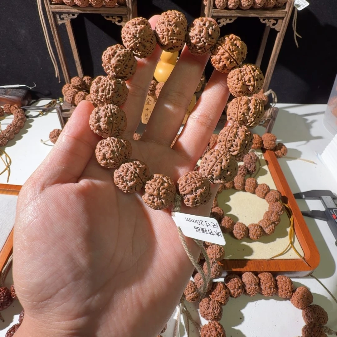 吊坠金刚菩提20尺寸五星蜂王