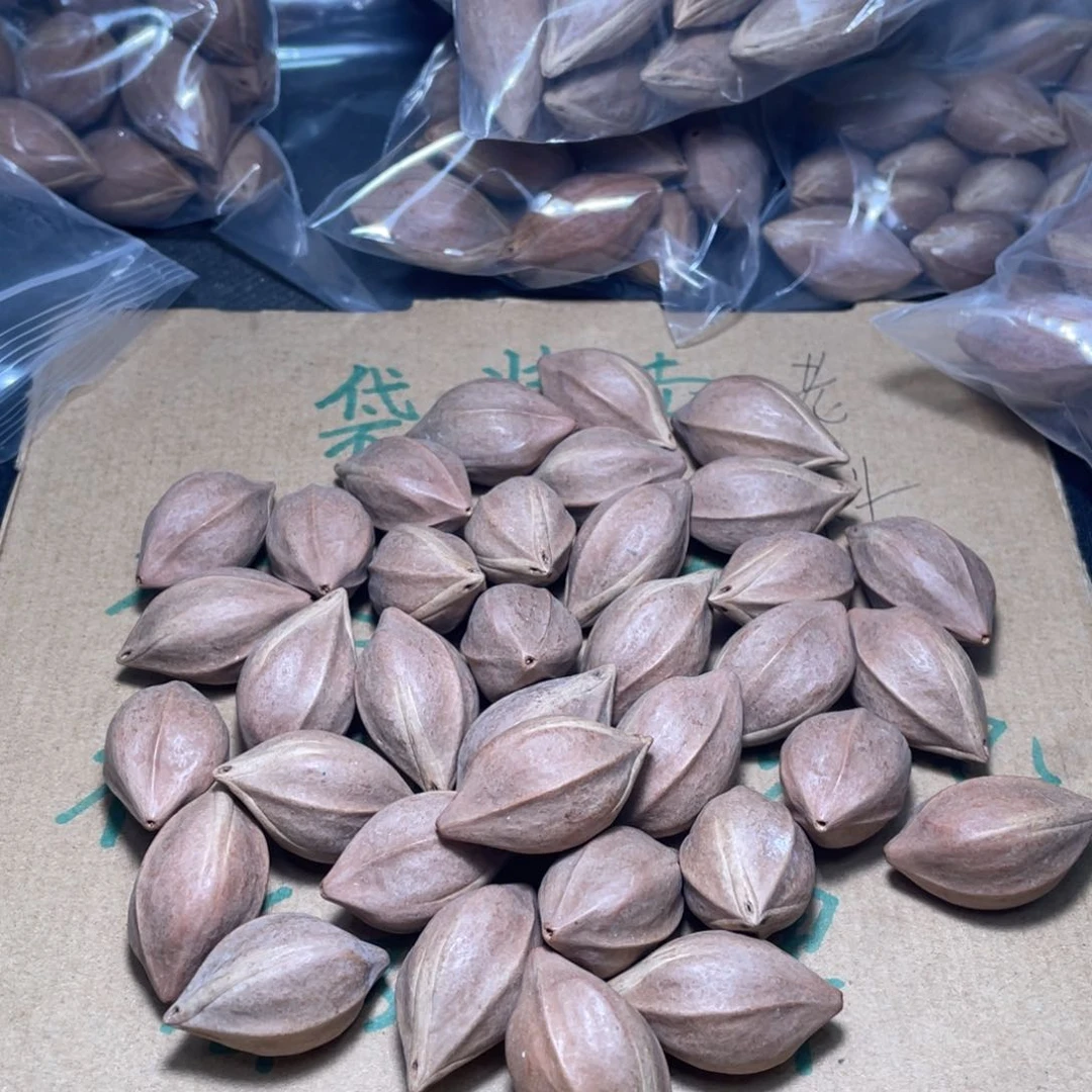 蜗**飙不退不换asaasss