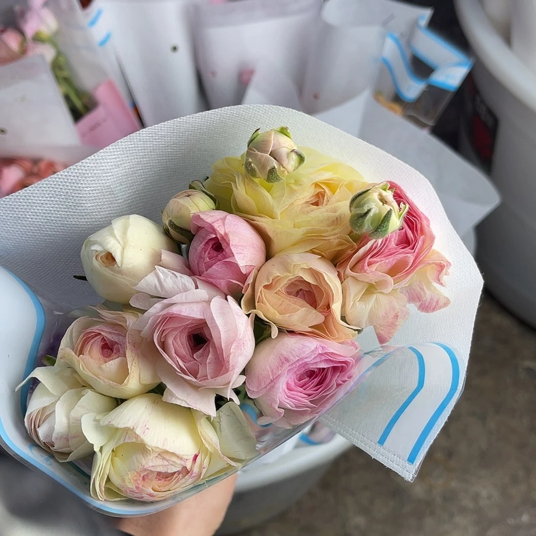 完全开放超大基地（蜜桃派）8-10枝