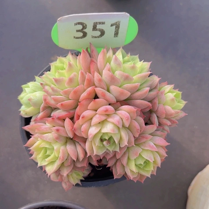 健健康康平平安安