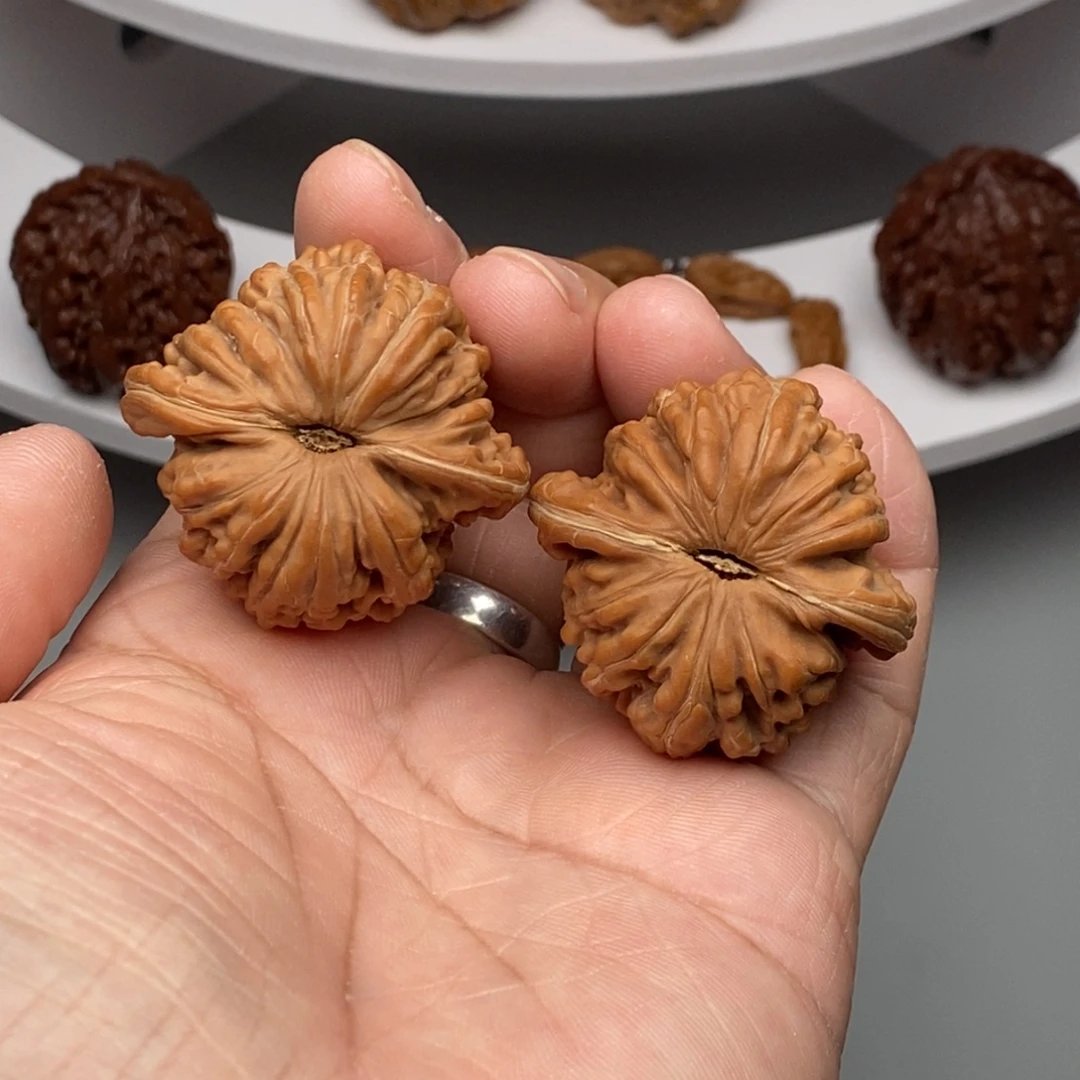 手串/手链核桃蓟县四座楼