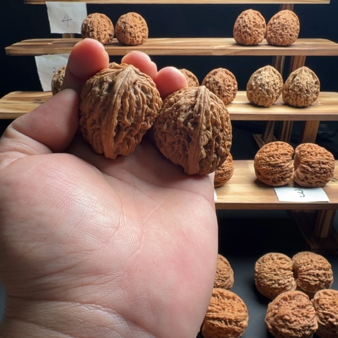 易***程桃核吊坠南疆石蚂蚁拉丝潜艇尺寸41