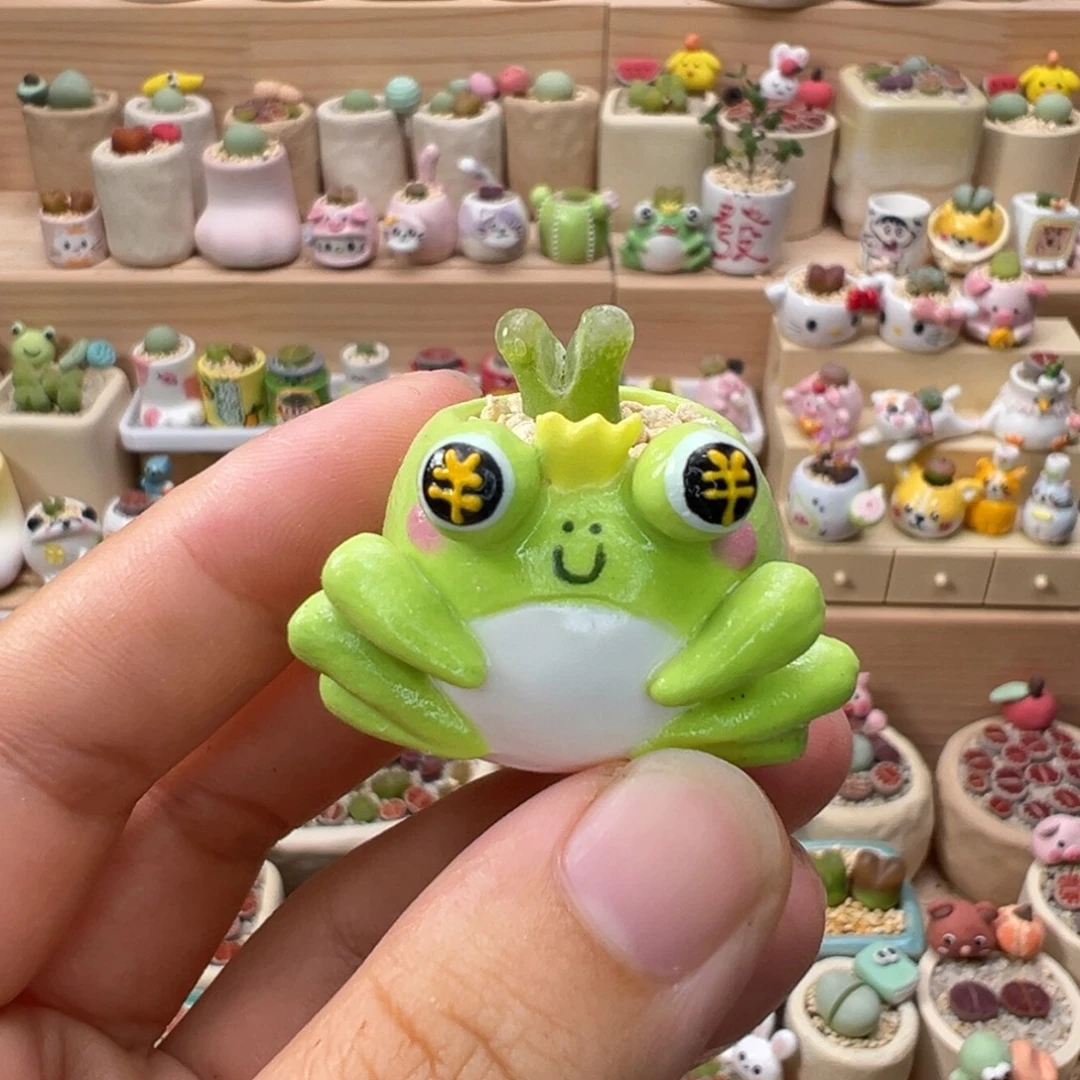 多肉植物132号拇指盆