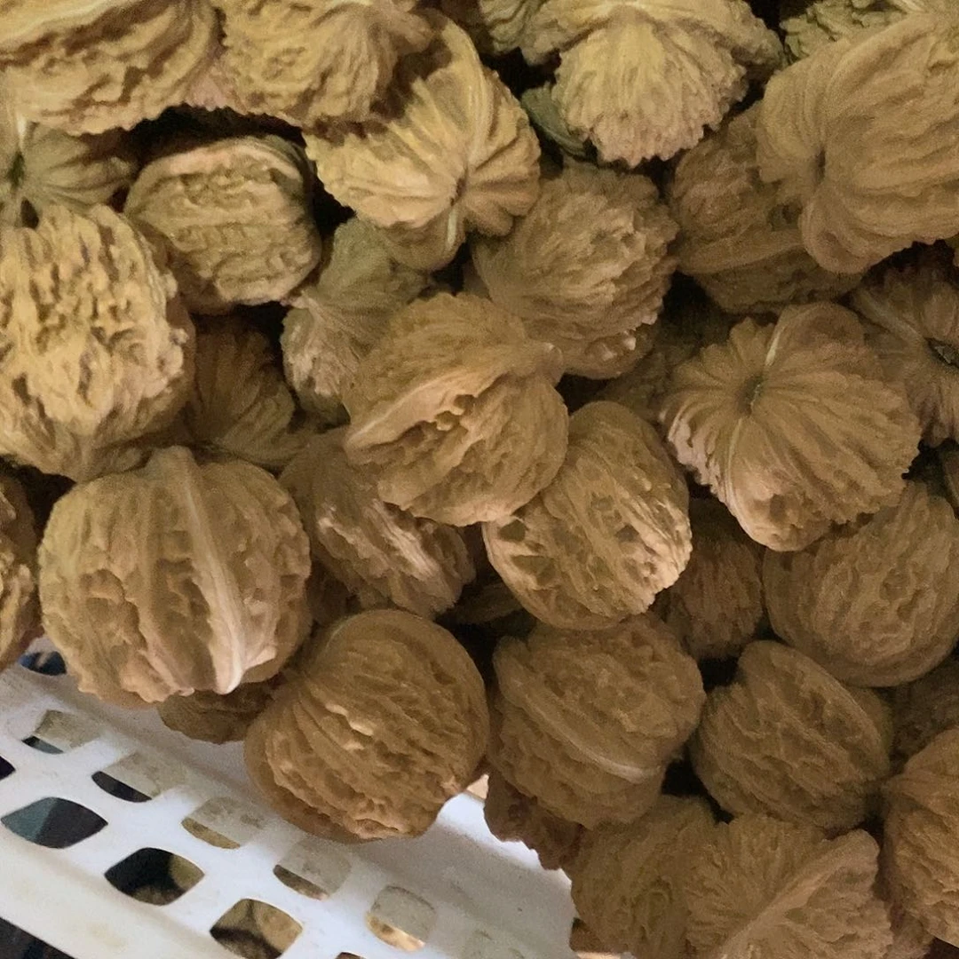 桃核把件王**?四座楼核桃30个