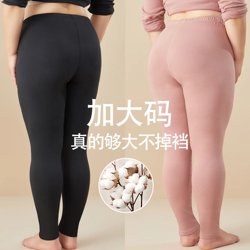 加肥加大秋裤女200斤大码精梳棉薄款内穿打底裤春秋冬季保暖裤