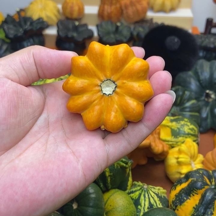 福利福利福利福利