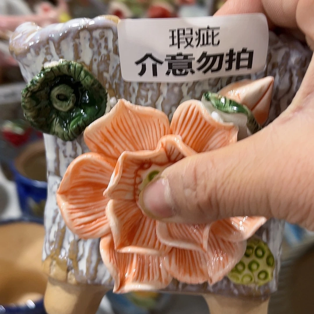 【闪购商品】红陶福利