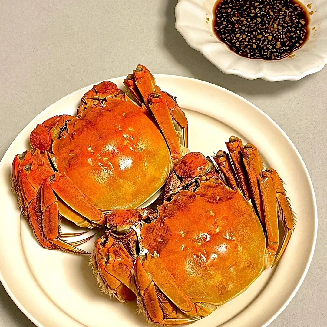 江苏精品大闸蟹1.6-1.8两/只共6只鲜活母蟹