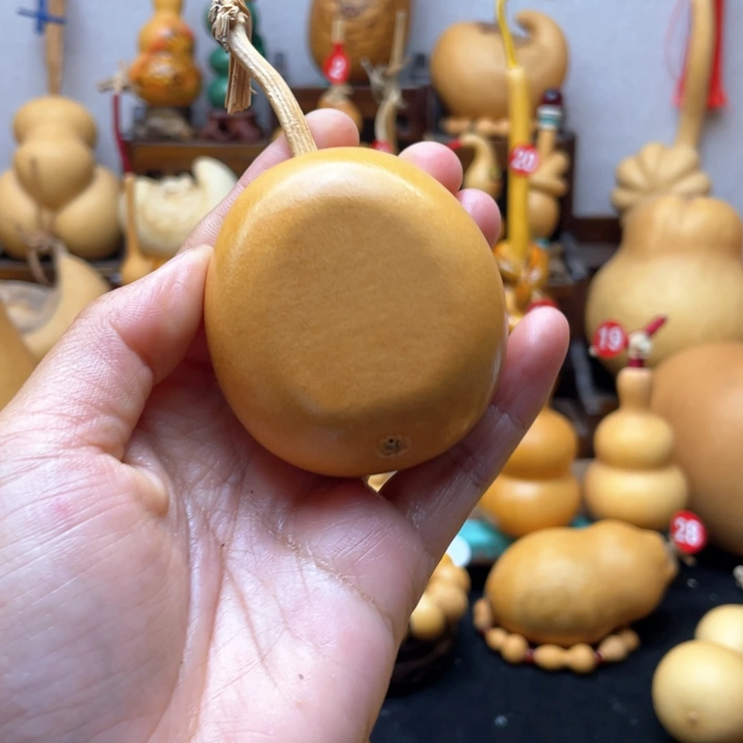 ?*染大自然的秘密第十一节