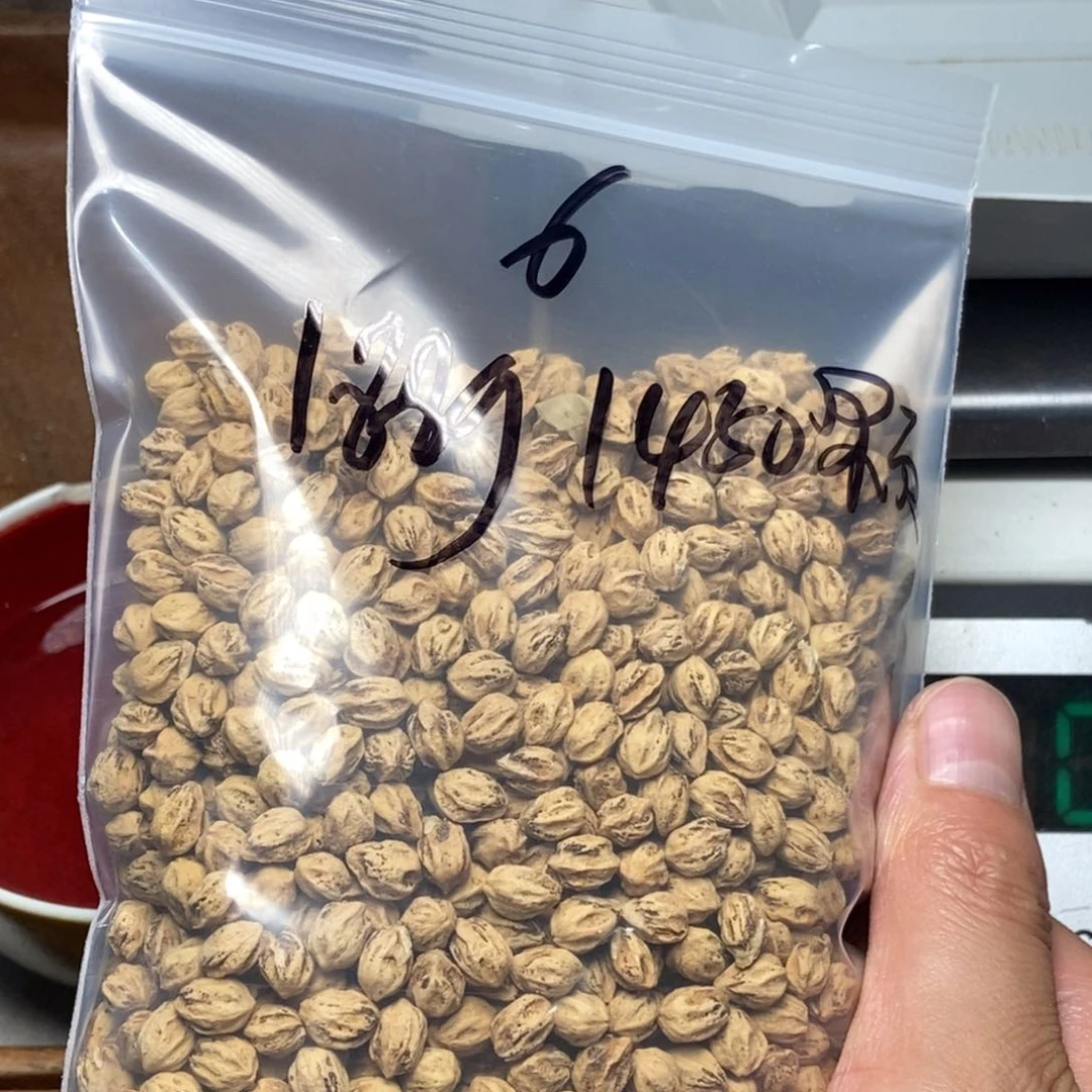 柏香籽/百香籽吊坠誓***密