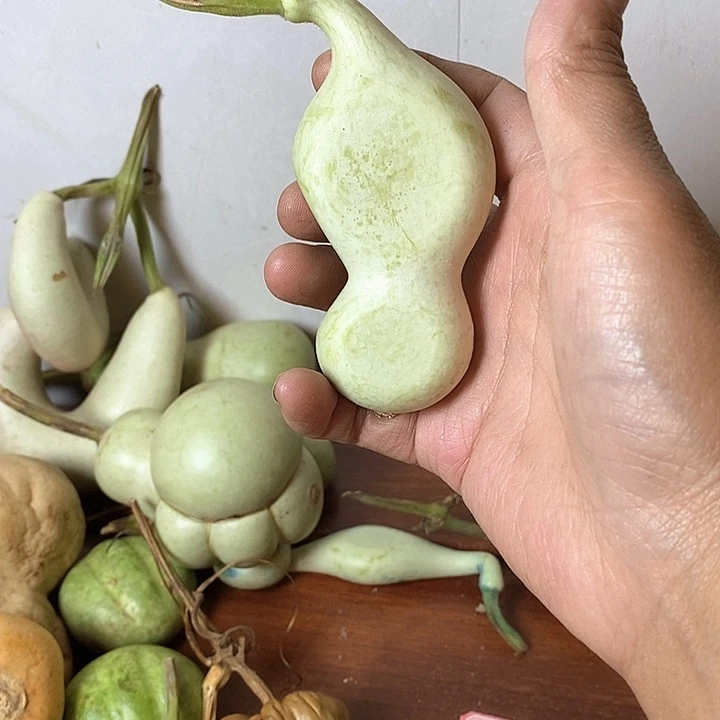 小***华青皮葫芦手把件摆件