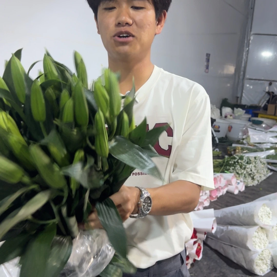 多头西伯利亚10支包邮价秒杀