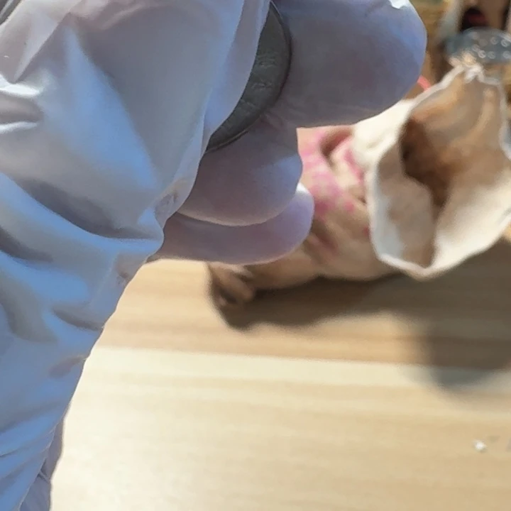 其他普通金属蒋8币