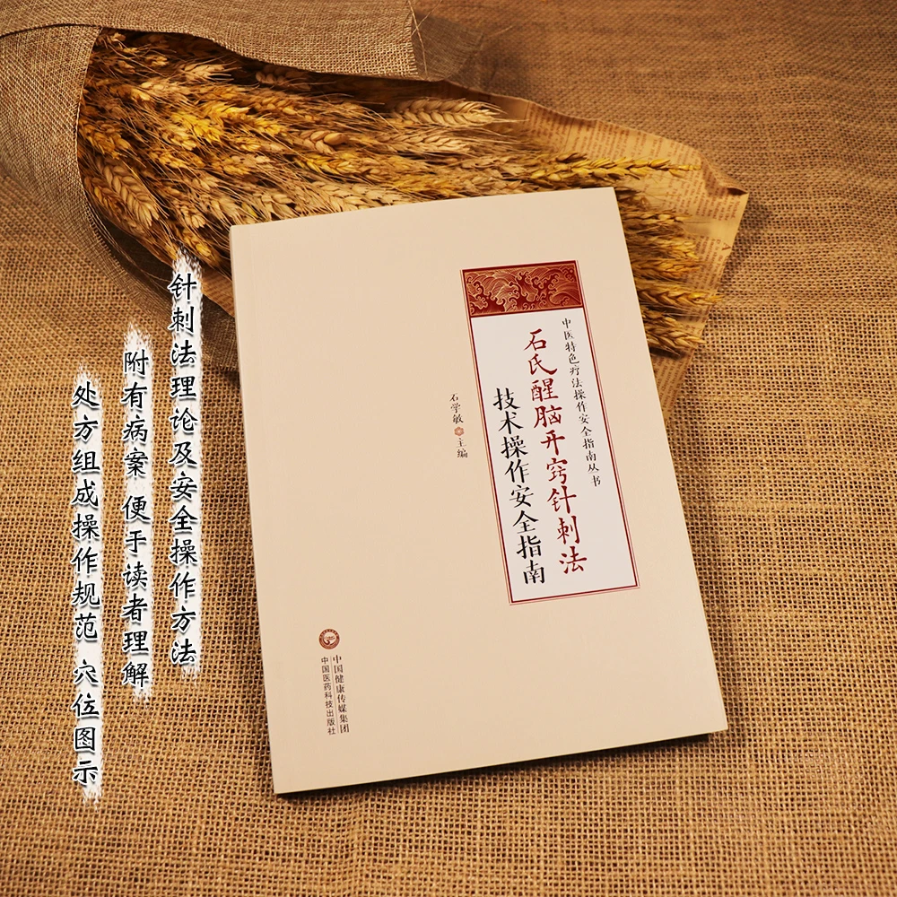 【天地合】石氏醒脑开窍针刺法技术操作安全指南